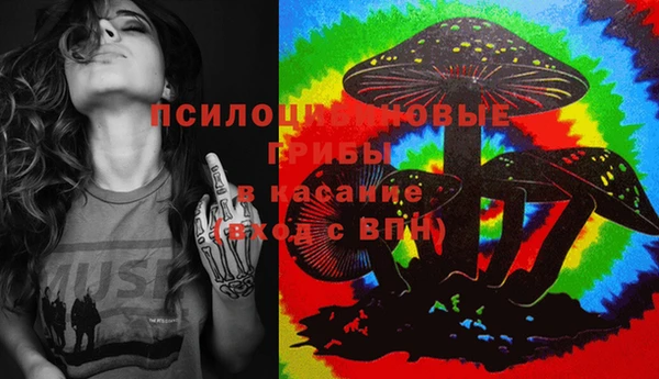 дурь Алексин